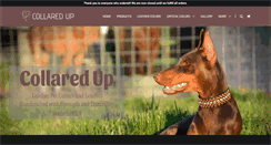 Desktop Screenshot of collaredup.com